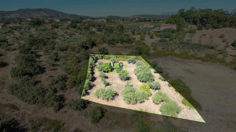 Quinta T3 para Venda em Vale de Prazeres e Mata da Rainha