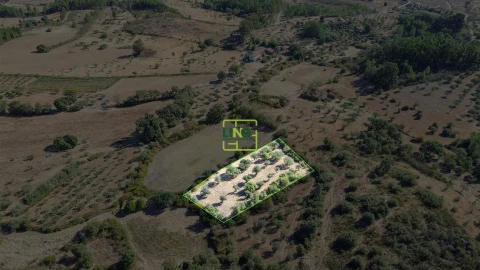 Quinta T3 para Venda em Vale de Prazeres e Mata da Rainha