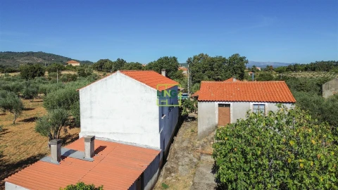 Quinta T3 para Venda em Vale de Prazeres e Mata da Rainha