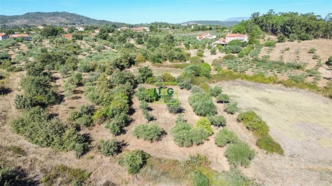 Quinta T3 para Venda em Vale de Prazeres e Mata da Rainha
