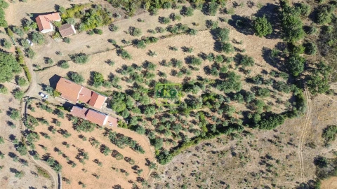 Quinta T3 para Venda em Vale de Prazeres e Mata da Rainha