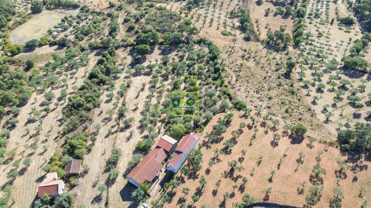 Quinta T3 para Venda em Vale de Prazeres e Mata da Rainha Foto 68