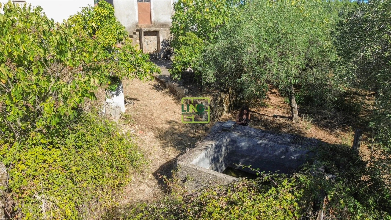 Quinta T3 para Venda em Vale de Prazeres e Mata da Rainha Foto 66
