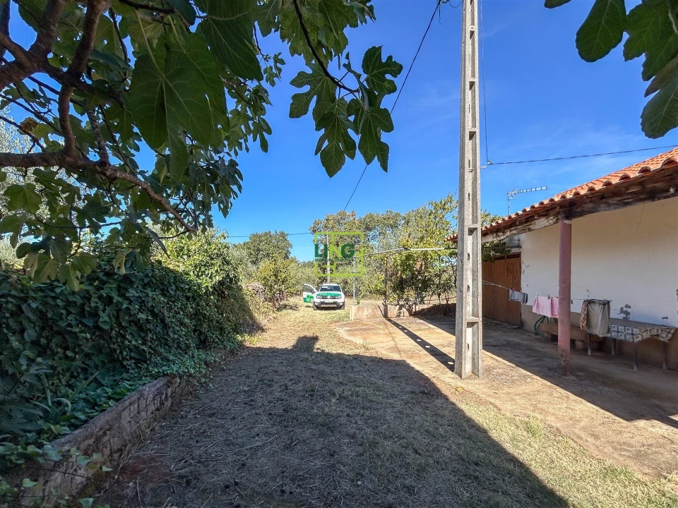 Quinta T3 para Venda em Vale de Prazeres e Mata da Rainha Foto 6