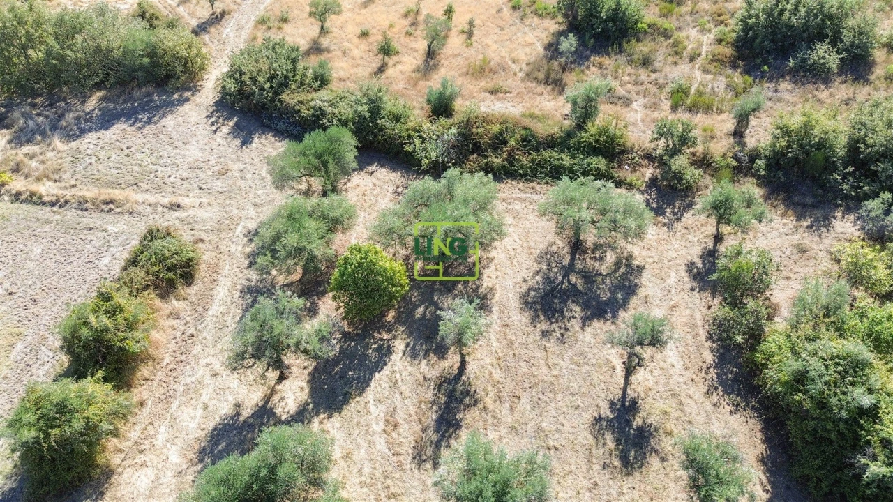 Quinta T3 para Venda em Vale de Prazeres e Mata da Rainha Foto 76
