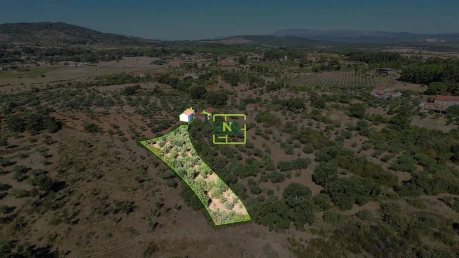 Quinta T3 para Venda em Vale de Prazeres e Mata da Rainha Foto 80