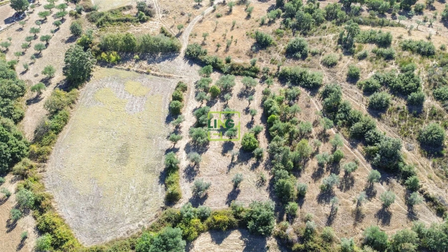 Quinta T3 para Venda em Vale de Prazeres e Mata da Rainha Foto 74