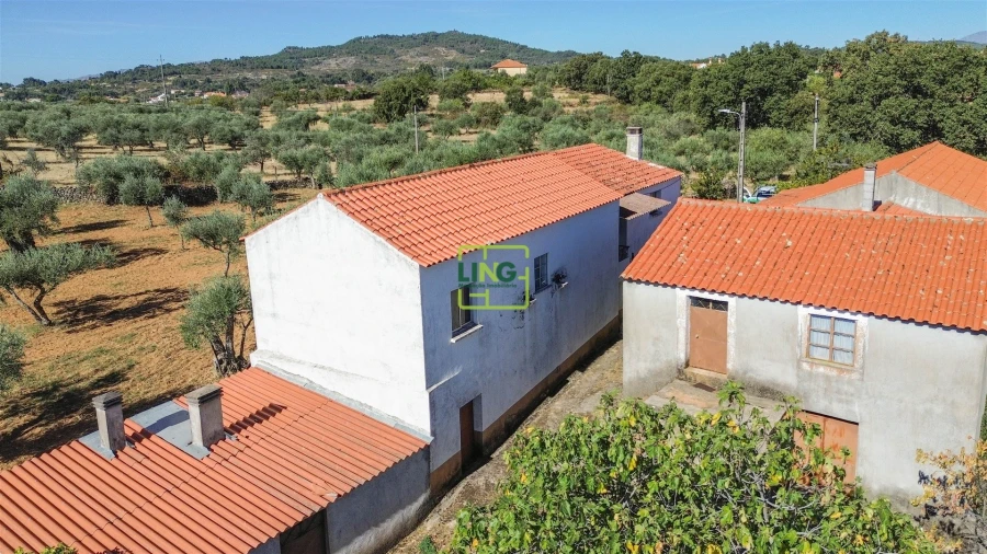 Quinta T3 para Venda em Vale de Prazeres e Mata da Rainha Foto 86