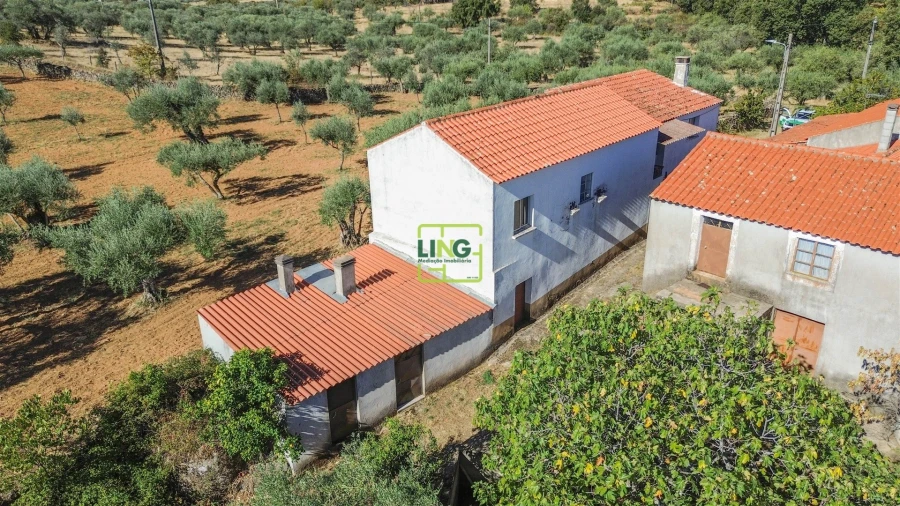 Quinta T3 para Venda em Vale de Prazeres e Mata da Rainha Foto 63