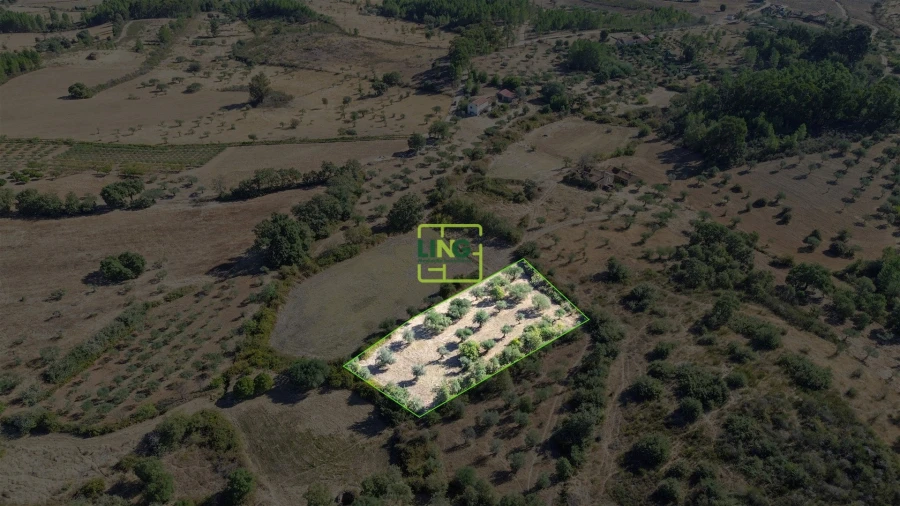 Quinta T3 para Venda em Vale de Prazeres e Mata da Rainha Foto 71