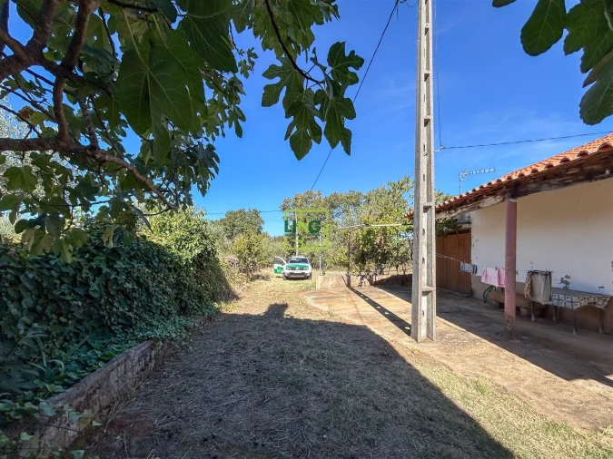 Quinta T3 para Venda em Vale de Prazeres e Mata da Rainha Foto 6
