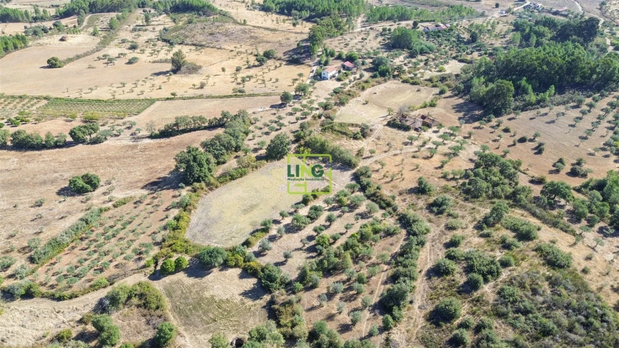 Quinta T3 para Venda em Vale de Prazeres e Mata da Rainha Foto 70