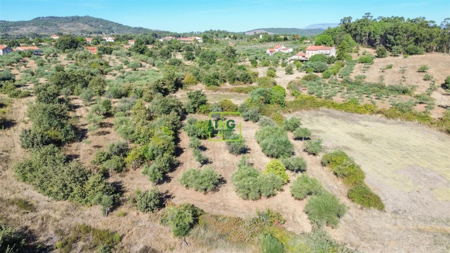 Quinta T3 para Venda em Vale de Prazeres e Mata da Rainha Foto 77