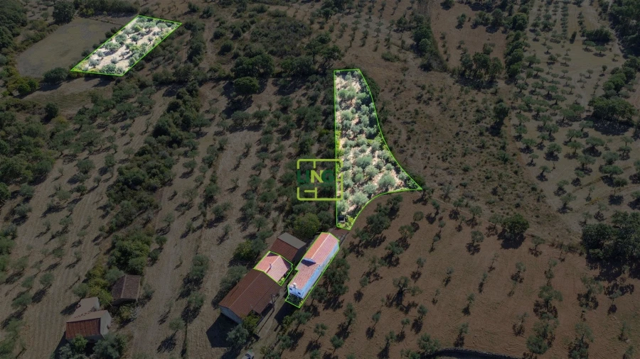 Quinta T3 para Venda em Vale de Prazeres e Mata da Rainha Foto 69