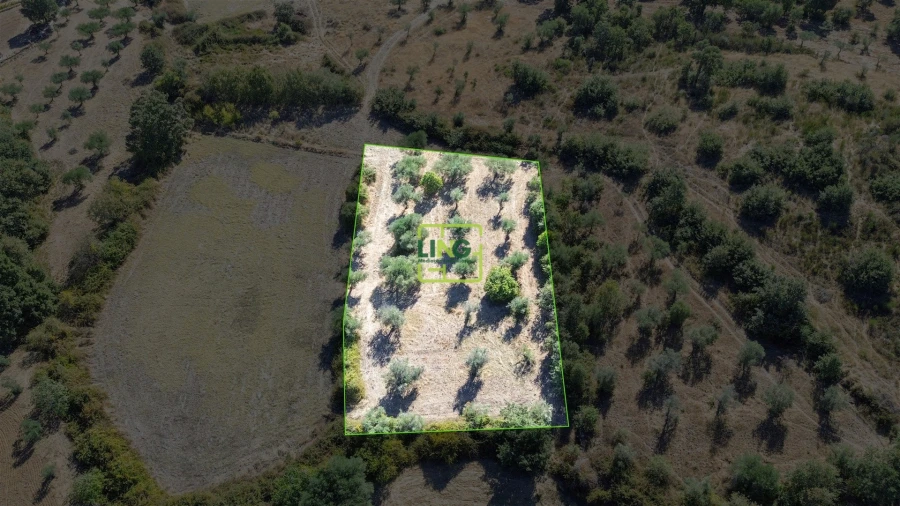 Quinta T3 para Venda em Vale de Prazeres e Mata da Rainha Foto 75