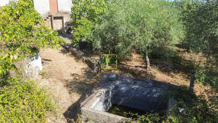 Quinta T3 para Venda em Vale de Prazeres e Mata da Rainha Foto 67