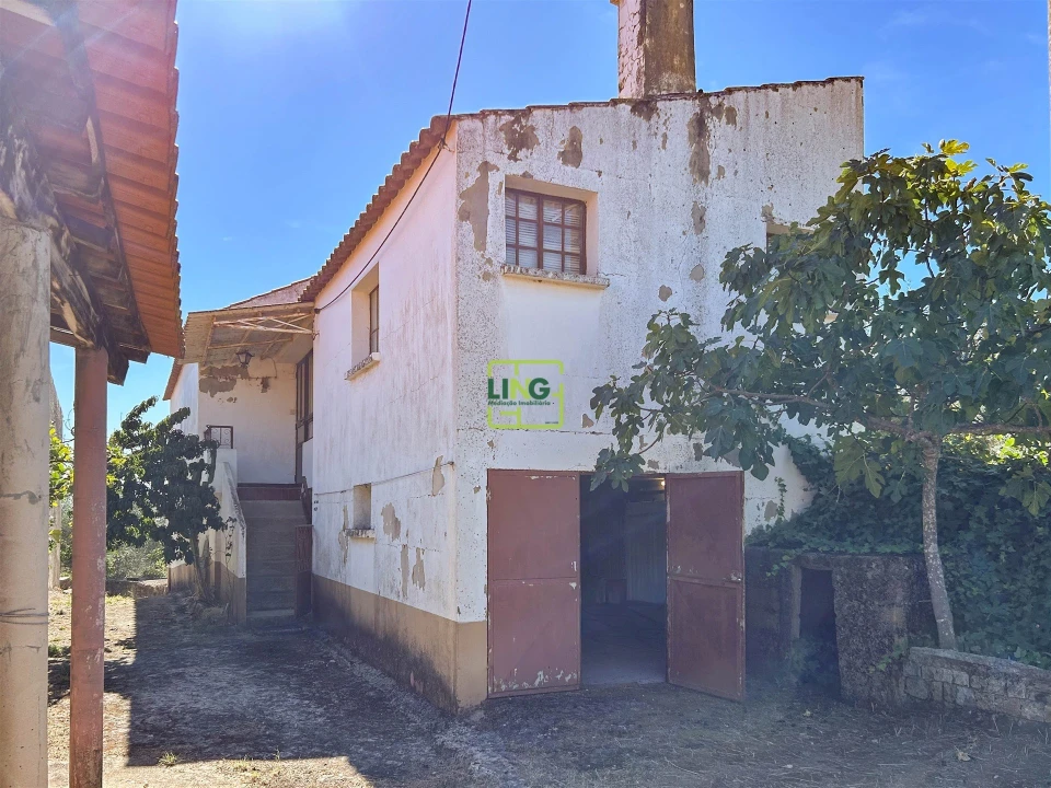 Quinta T3 para Venda em Vale de Prazeres e Mata da Rainha Foto 3