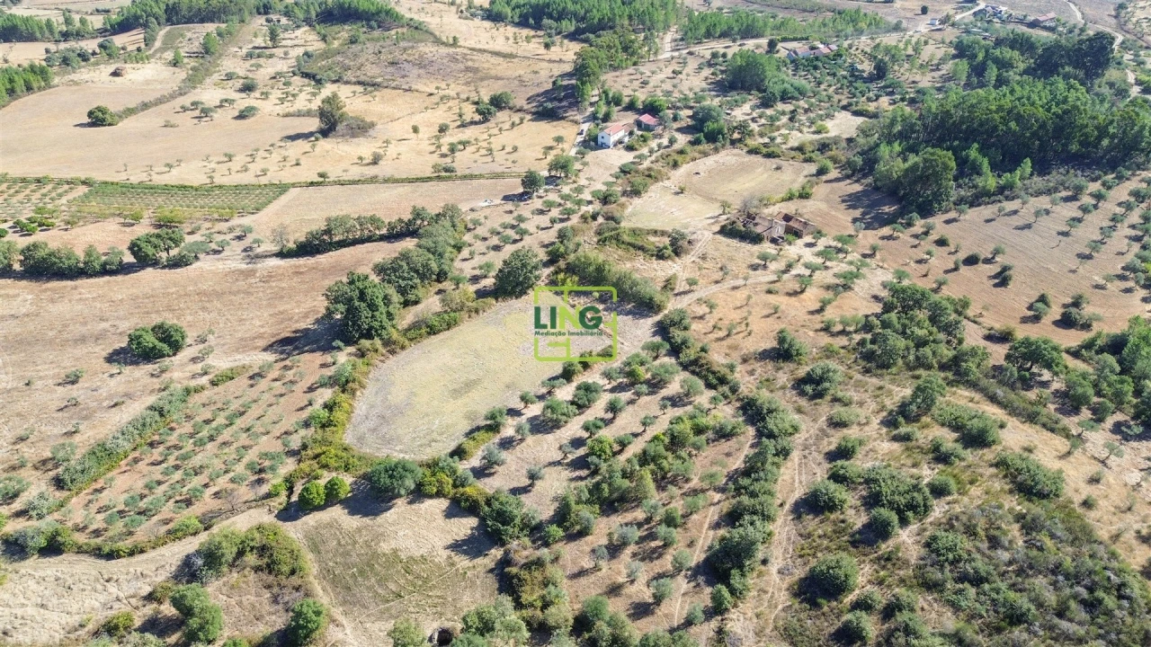 Quinta T3 para Venda em Vale de Prazeres e Mata da Rainha Foto 70