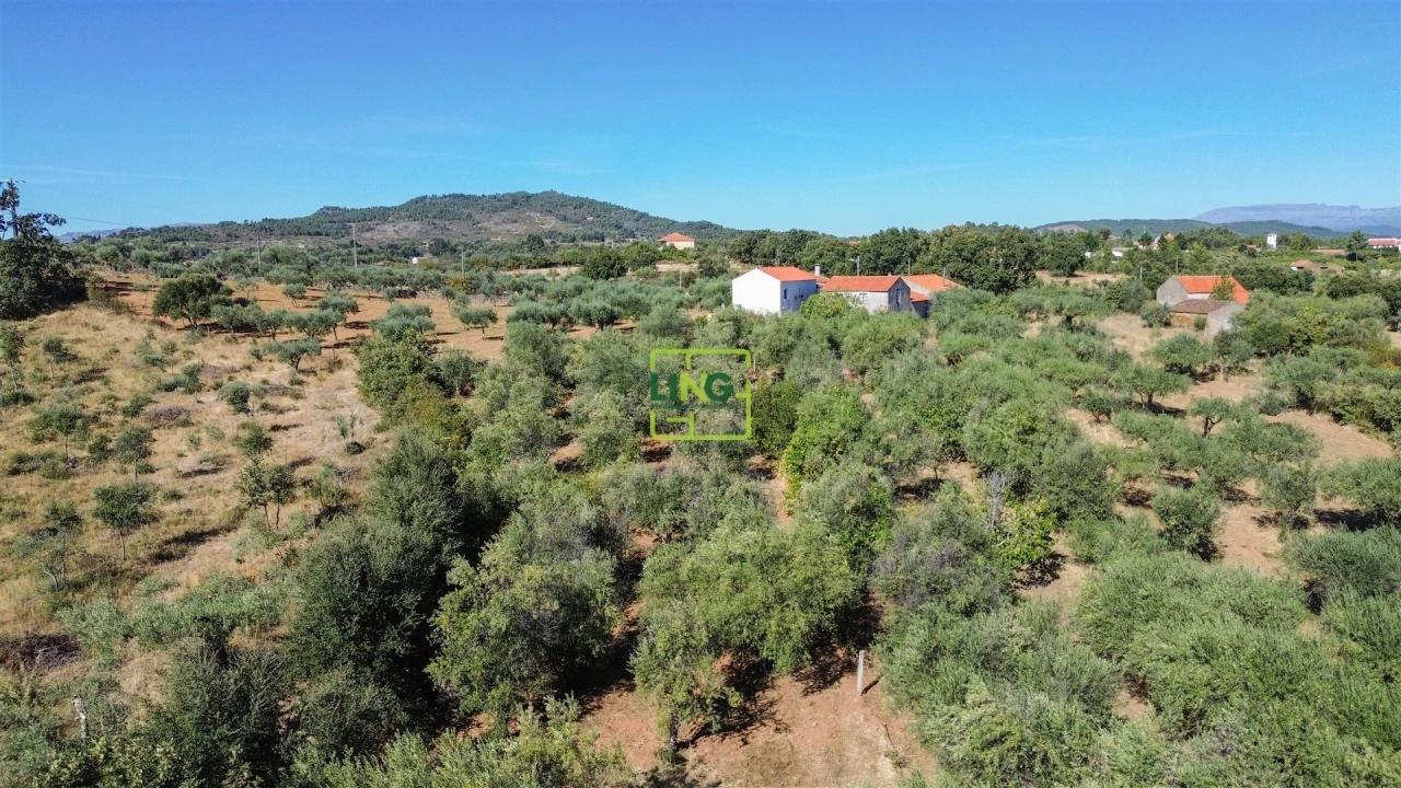 Quinta T3 para Venda em Vale de Prazeres e Mata da Rainha Foto 83