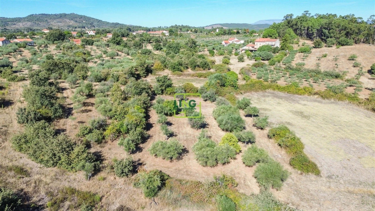 Quinta T3 para Venda em Vale de Prazeres e Mata da Rainha Foto 77
