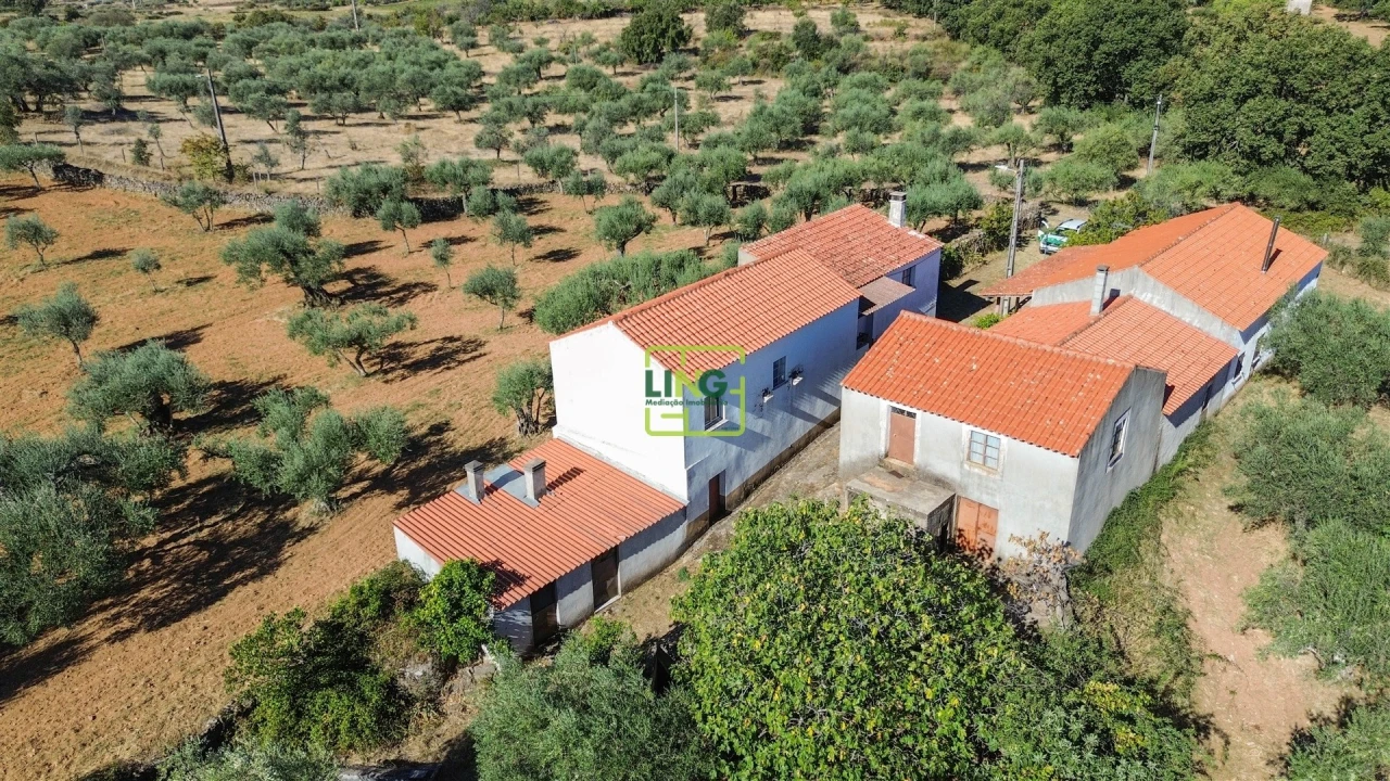 Quinta T3 para Venda em Vale de Prazeres e Mata da Rainha Foto 62