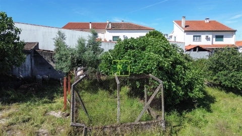 Terreno para Venda em Alcains