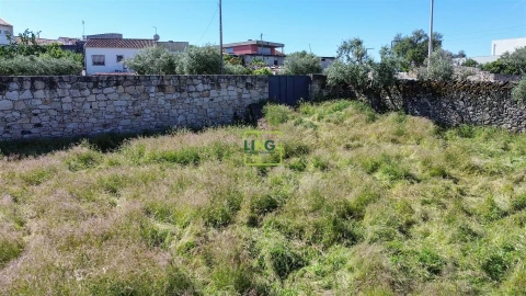 Terreno para Venda em Alcains