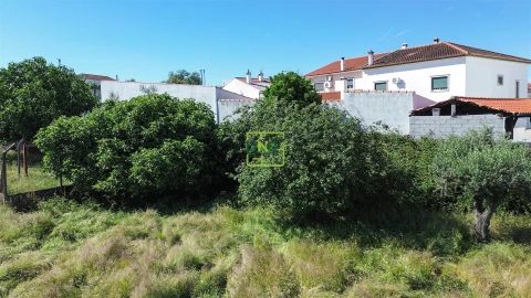 Terreno para Venda em Alcains