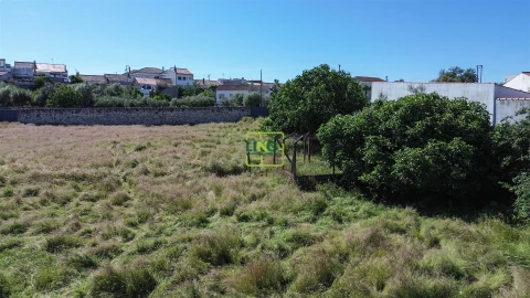 Terreno para Venda em Alcains
