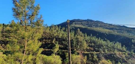 Moradia T1 para Venda em Estreito-Vilar Barroco