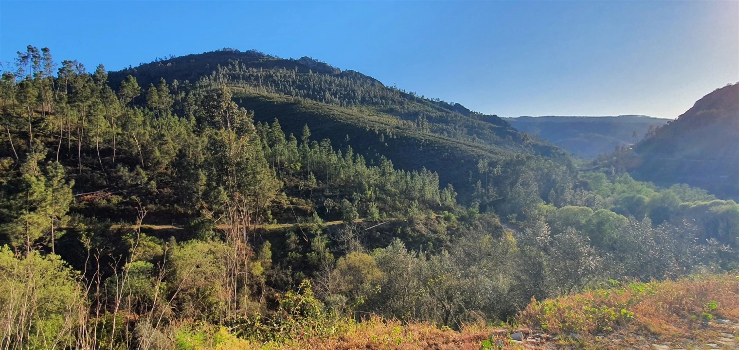 Moradia T1 para Venda em Estreito-Vilar Barroco Foto 19