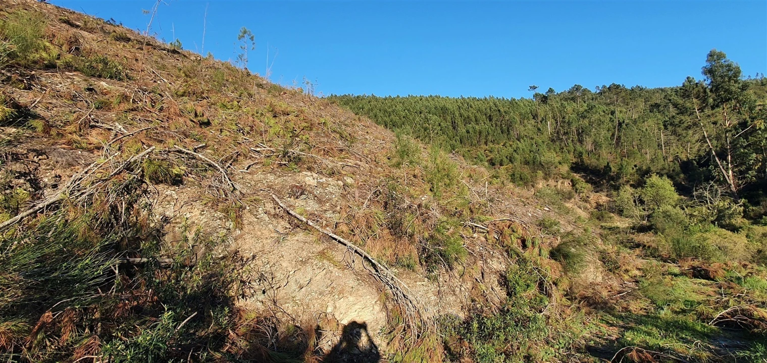 Moradia T1 para Venda em Estreito-Vilar Barroco Foto 16