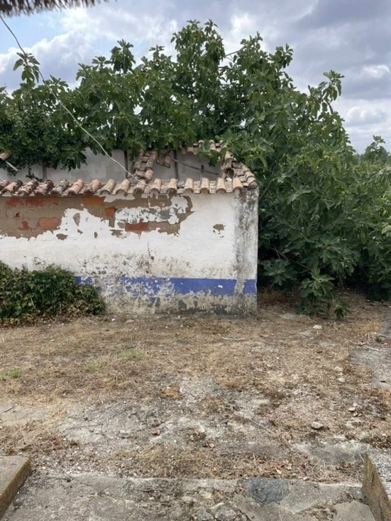 Quinta T2 para Venda em Ponte de Sor, Tramaga e Vale de Açor Foto 12