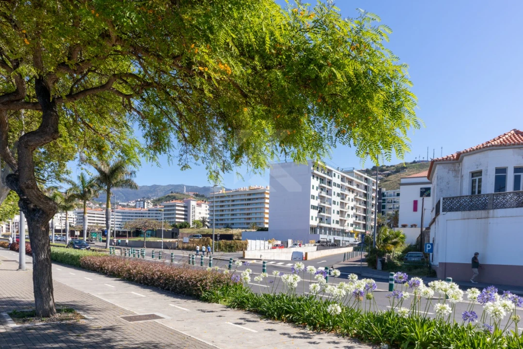 Apartamento T2 para Arrendamento em São Martinho Foto 40
