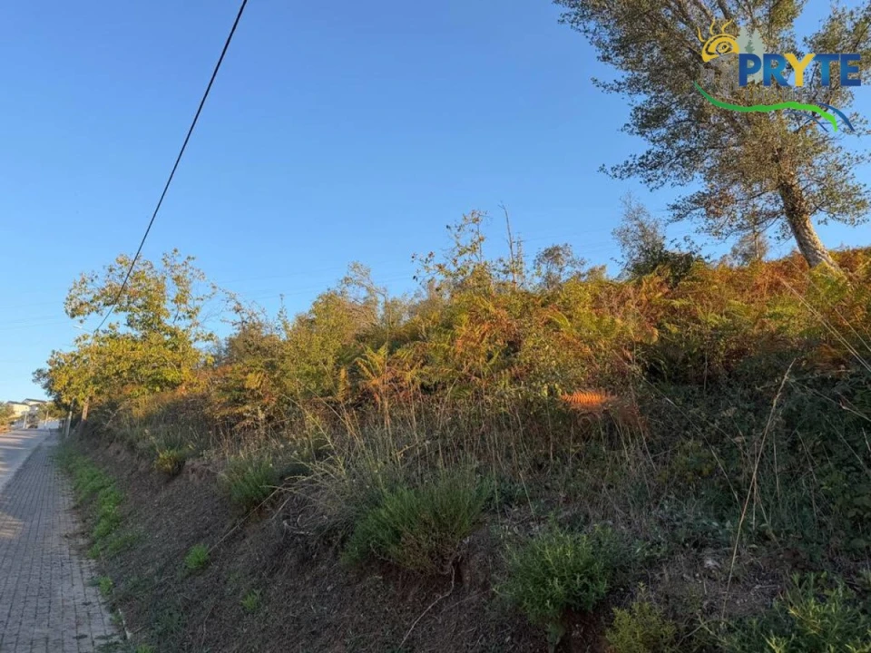 Terreno para Venda em Sertã Foto 4