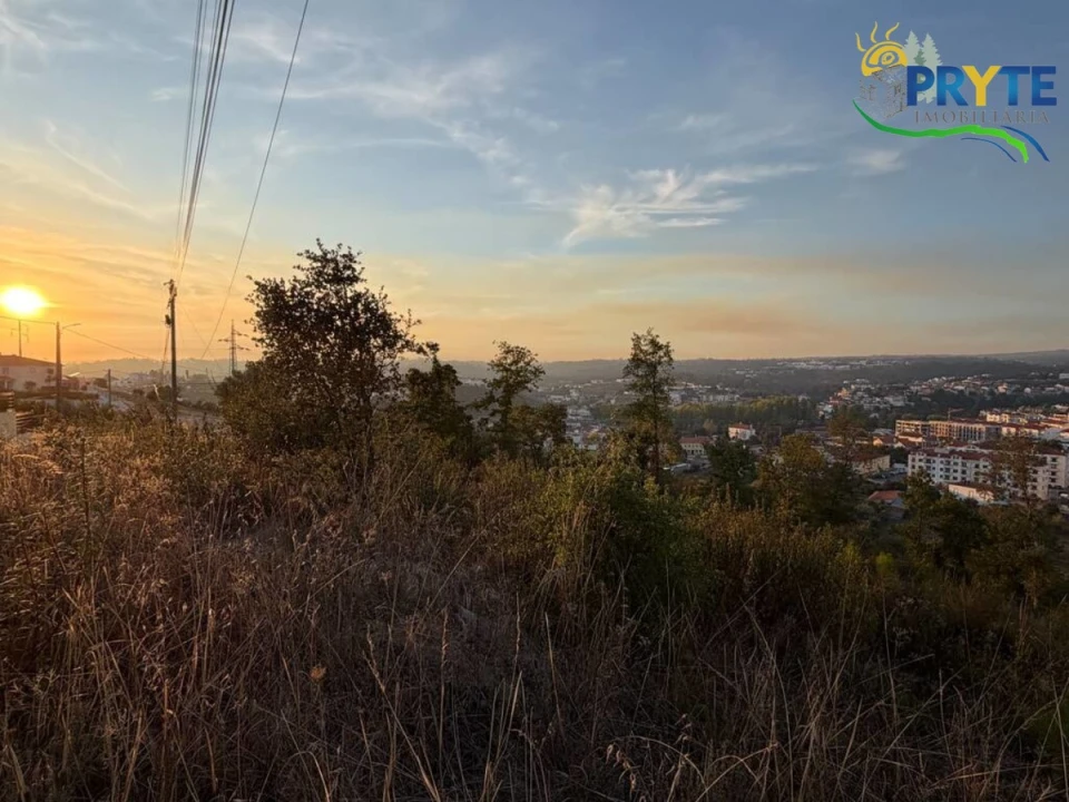 Terreno para Venda em Sertã Foto 10