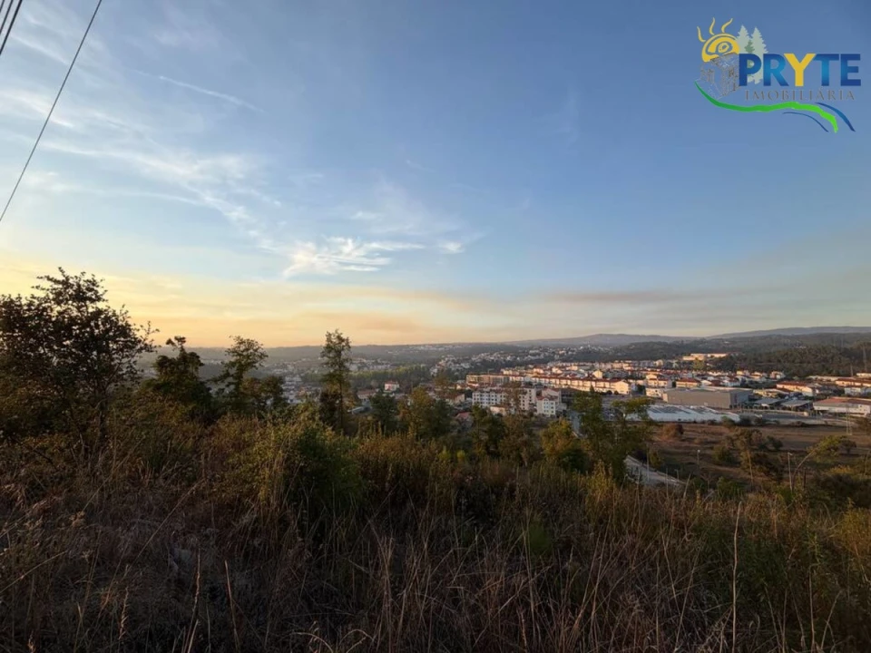 Terreno para Venda em Sertã Foto 13