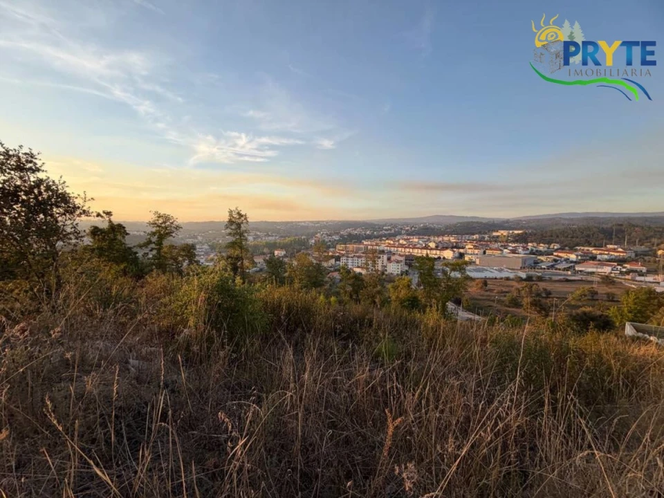 Terreno para Venda em Sertã Foto 17