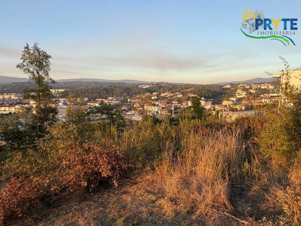 Terreno para Venda em Sertã Foto 19