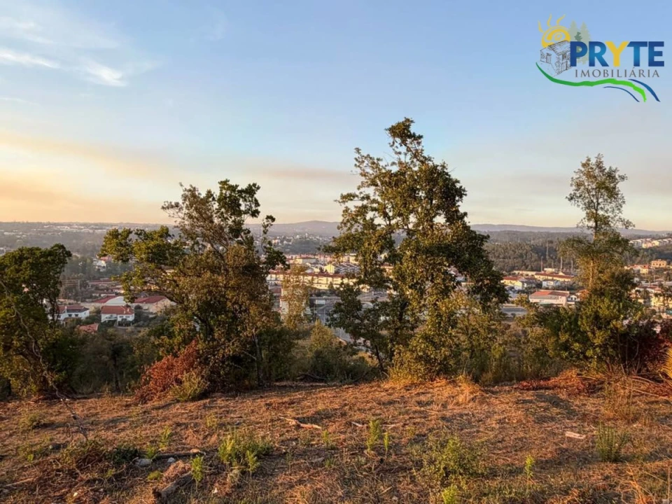 Terreno para Venda em Sertã Foto 21
