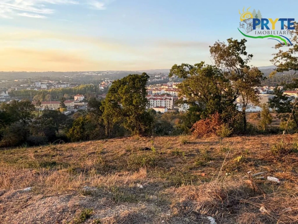 Terreno para Venda em Sertã Foto 26