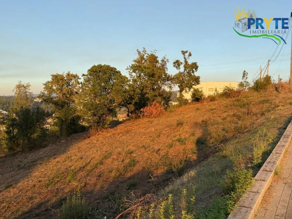 Terreno para Venda em Sertã Foto 30