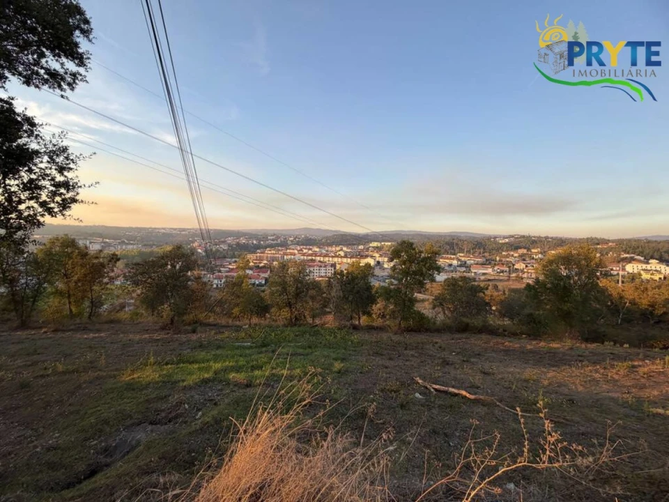 Terreno para Venda em Sertã Foto 42