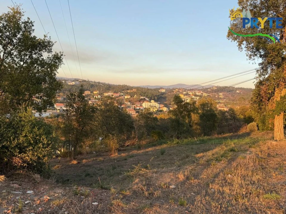 Terreno para Venda em Sertã Foto 48