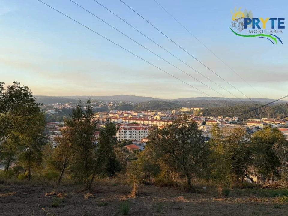 Terreno para Venda em Sertã Foto 60