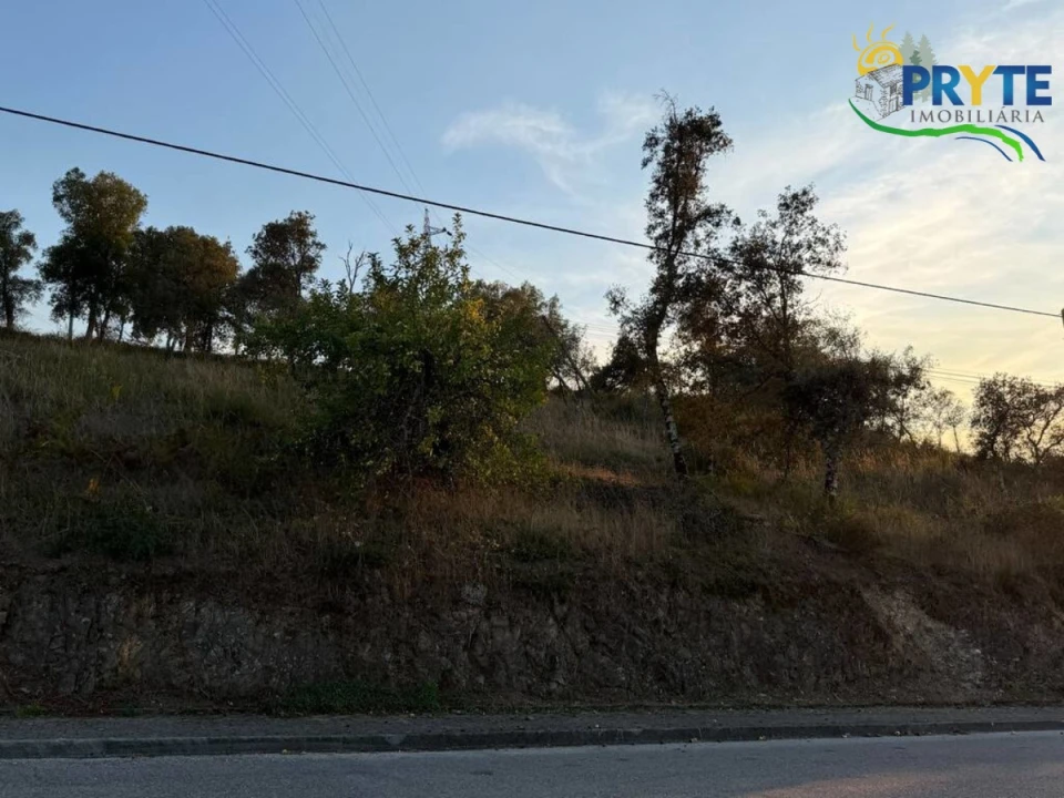 Terreno para Venda em Sertã Foto 75