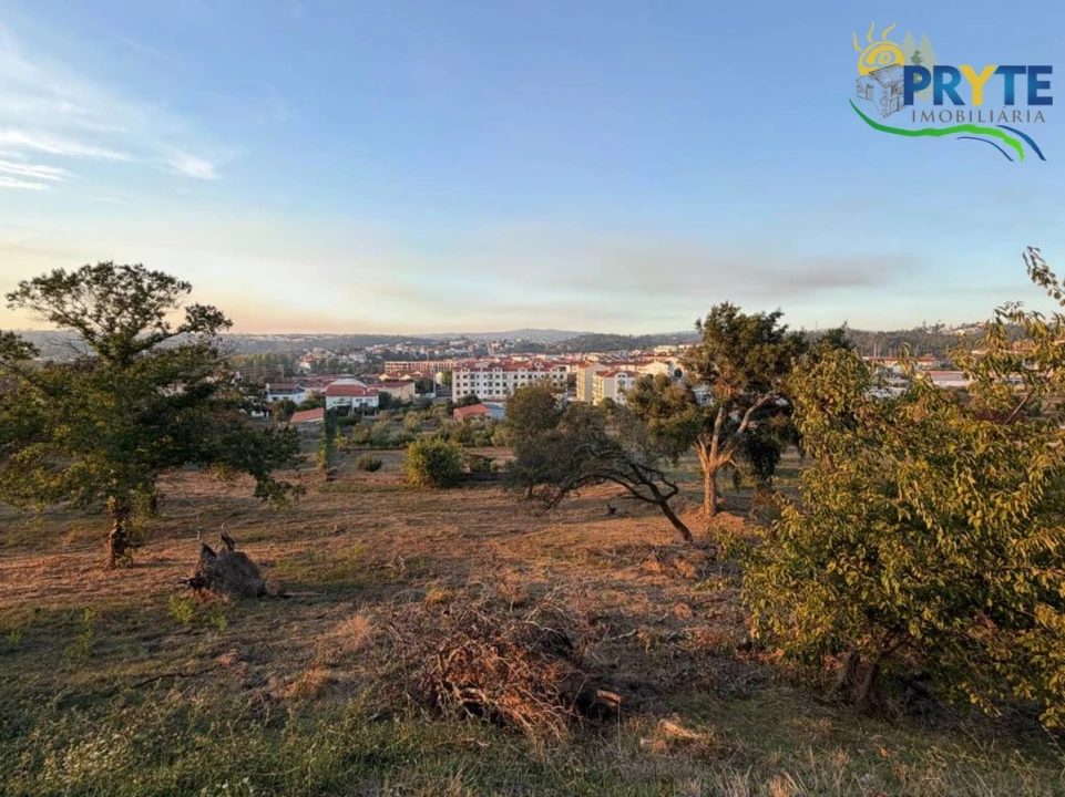Terreno para Venda em Sertã Foto 81