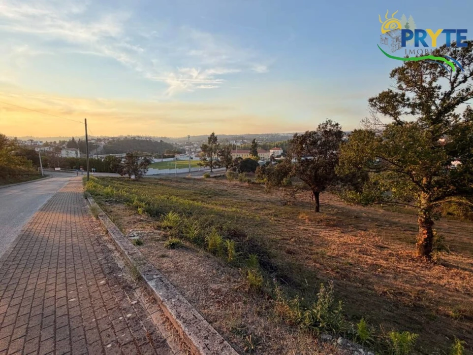 Terreno para Venda em Sertã Foto 83
