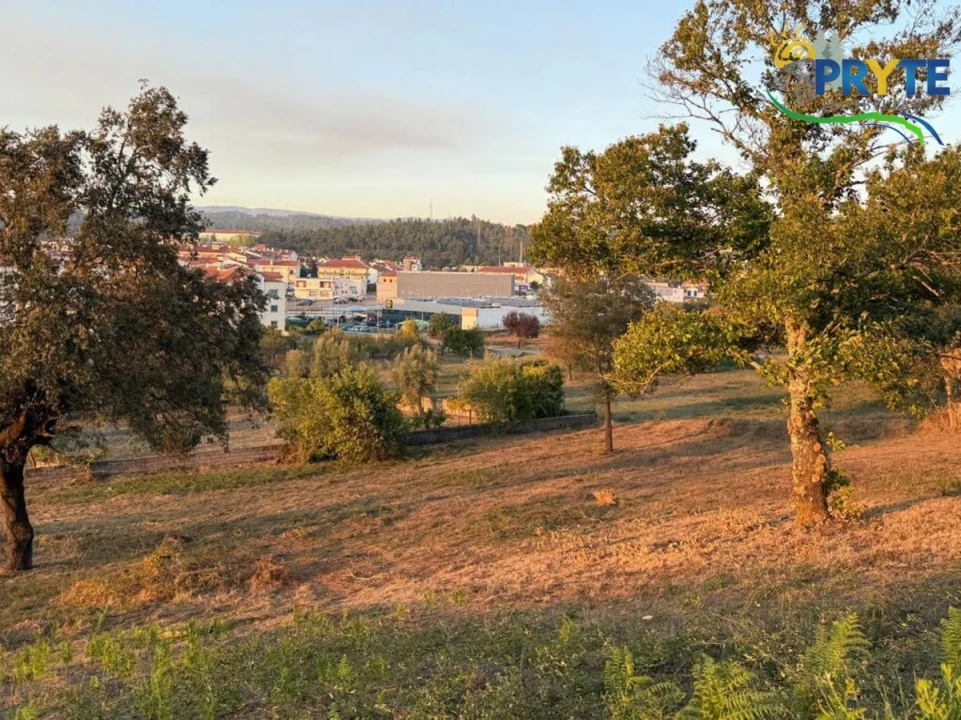 Terreno para Venda em Sertã Foto 92