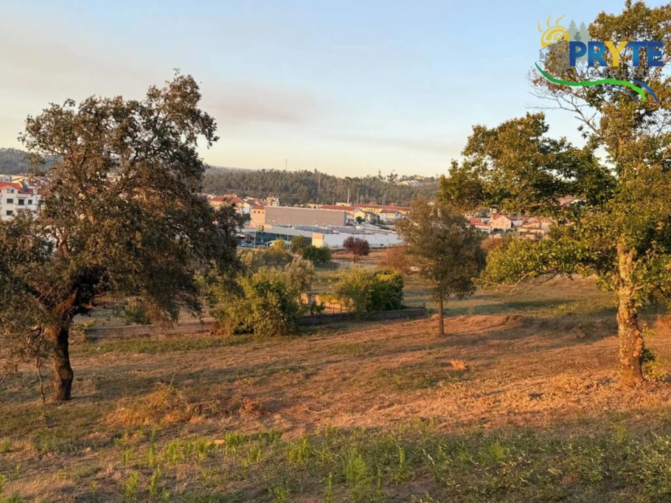 Terreno para Venda em Sertã Foto 93